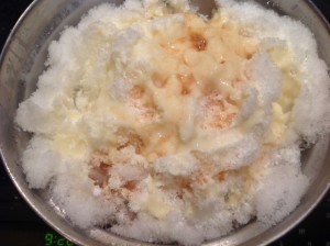 snow ice cream before mixing